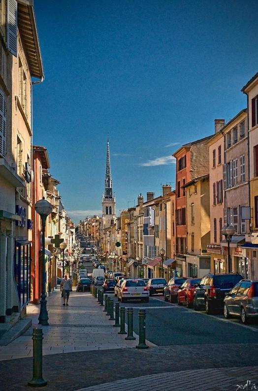 Le Cosy Twin Appartement Villefranche-sur-Saône Buitenkant foto
